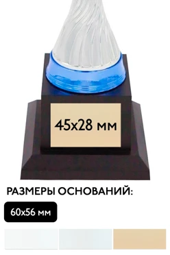 Шильд прямоугольный 45x28 мм