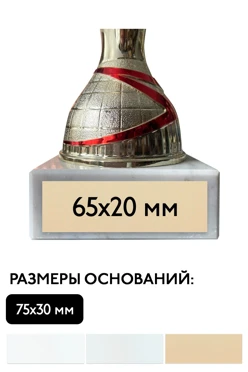 Шильд прямоугольный 65х20 мм