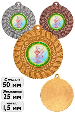 Медаль металлическая МК278 50мм с шильдом 25мм