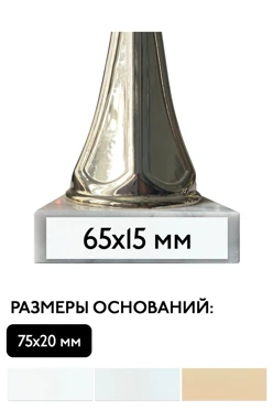 Шильд прямоугольный 65х15 мм