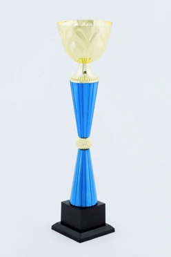 Кубок ИК0021