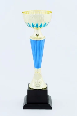 Кубок ИК0012