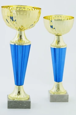 Кубок ИК0027