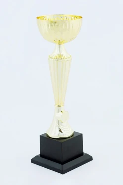 Кубок ИК0013