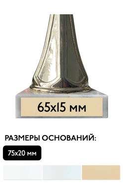 Шильд прямоугольный 65х15 мм