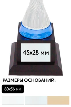Шильд прямоугольный 45x28 мм
