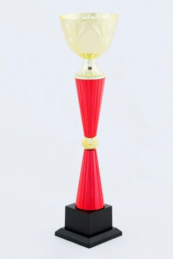 Кубок ИК0020