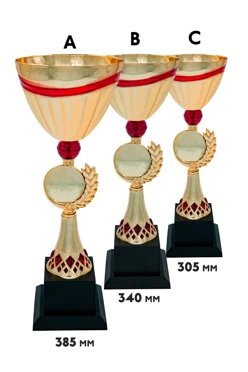 Кубок ИК0063
