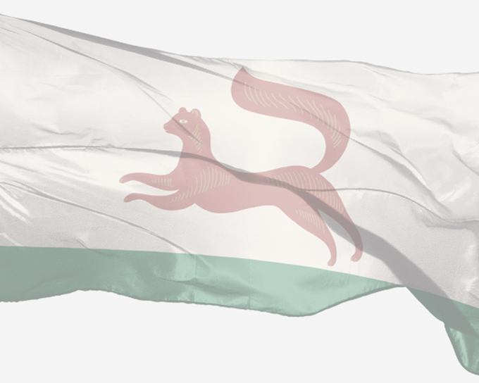 Флаг Уфы Фото