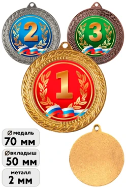 Медаль металлическая МК293 70мм с шильдом 50мм