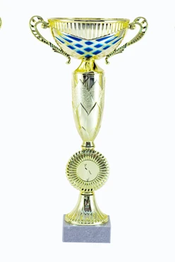 Кубок ИК0028