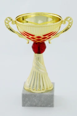 Кубок ИК0007