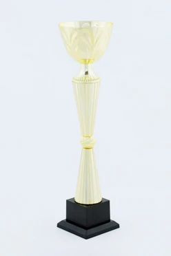Кубок ИК0022