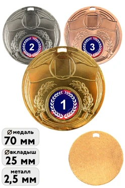 Медаль металлическая МК203 70мм с шильдом 25мм