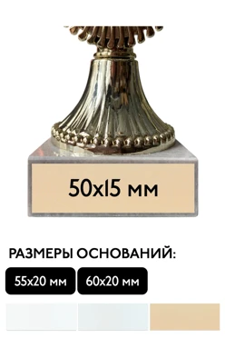 Шильд прямоугольный 50х15 мм