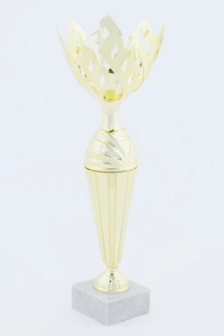 Кубок ИК0023