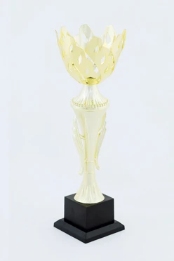 Кубок ИК0015