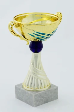 Кубок ИК0007