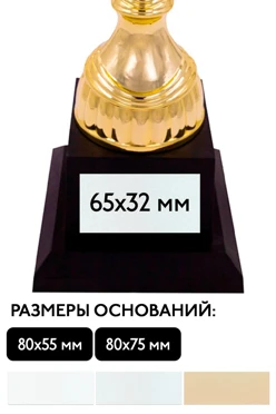 Шильд прямоугольный 65x32 мм