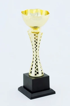 Кубок ИК0014