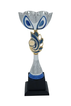 Кубок ИК0067