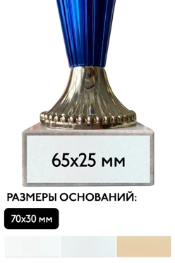 Шильд прямоугольный 65х25 мм