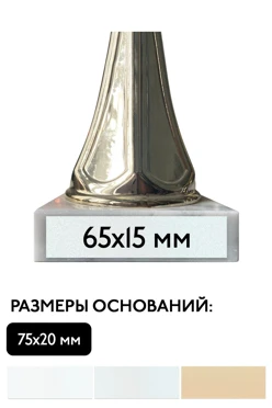 Шильд прямоугольный 65х15 мм