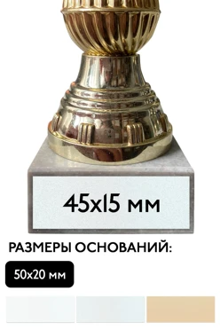 Шильд прямоугольный 45х15 мм