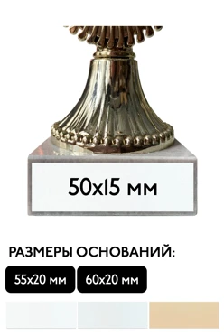 Шильд прямоугольный 50х15 мм