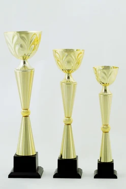 Кубок ИК0022
