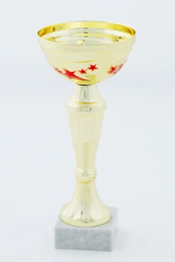 Кубок ИК0005