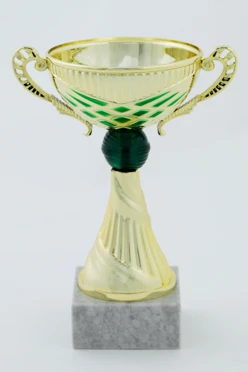 Кубок ИК0007