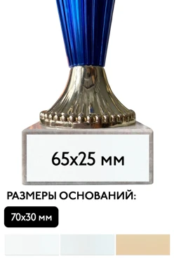 Шильд прямоугольный 65х25 мм