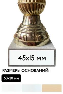 Шильд прямоугольный 45х15 мм