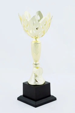 Кубок ИК0017