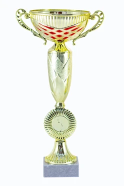 Кубок ИК0028