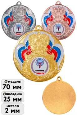Медаль металлическая МК294 70мм с шильдом 25мм
