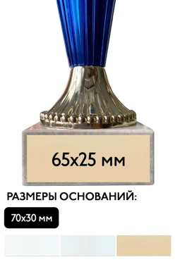 Шильд прямоугольный 65х25 мм
