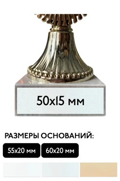 Шильд прямоугольный 50х15 мм
