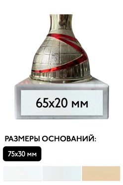 Шильд прямоугольный 65х20 мм