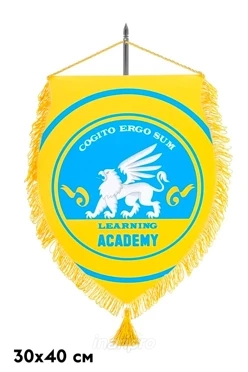 Вымпел Щит печатный с бахромой, декоративная кисть, 30х40 см
