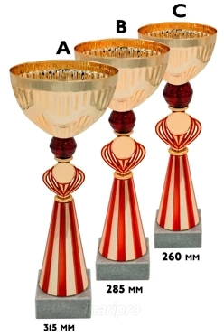 Кубок ИК0072
