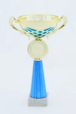 Кубок ИК0018