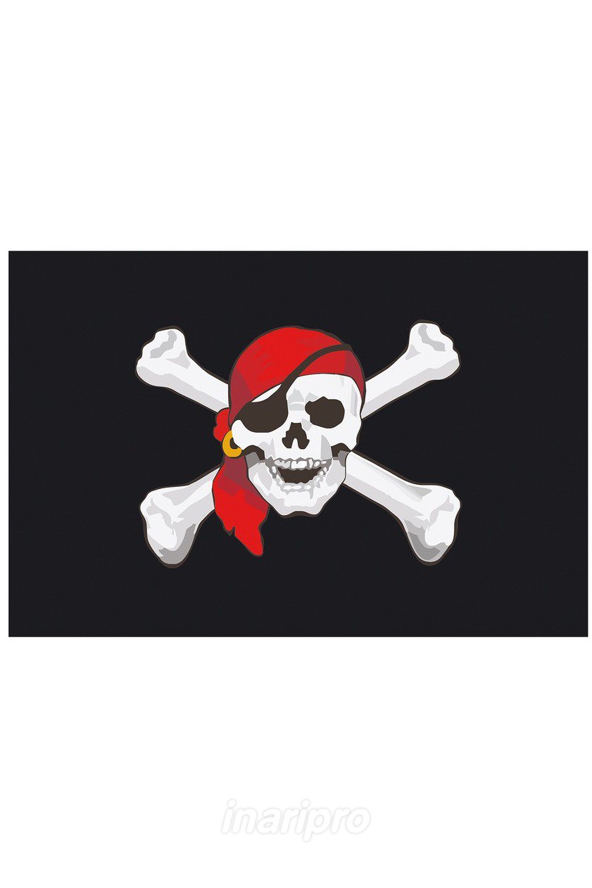 Веселый роджер цена. Веселый Роджер. Пиратский флаг со скелетом. Флаг с черепом и костями. Весёлый Роджер флаг.