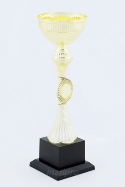 Кубок ИК0026