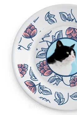 Тарелка с принтом на ободе "Cat's plate"